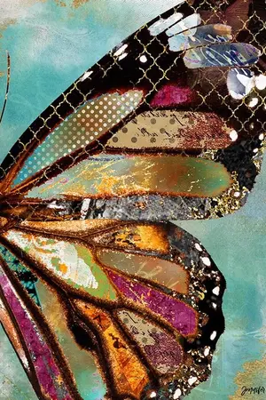 ปกนิยาย ปีกเเห่งอิสรภาพ (The wings of freedom)