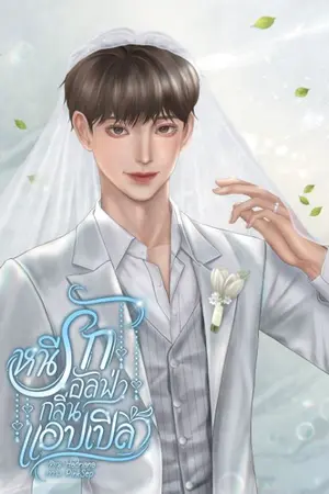 ปกนิยาย