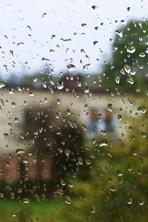 ปกนิยาย ย้อนรอยรักเพื่อน