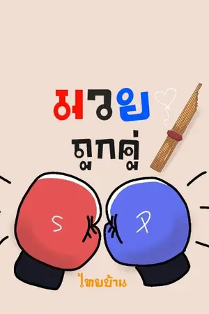 ปกนิยาย มวยถูกคู่