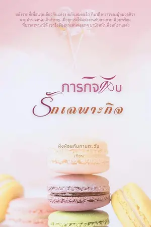 ปกนิยาย ภารกิจลับ รักเฉพาะกิจ