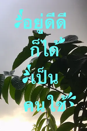 ปกนิยาย อยู่ดีดีก็ได้เป็นคนใช้