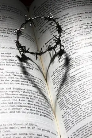 ปกนิยาย โชคชะตาลิขิตไว้ว่ามิสมหวัง