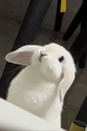 ปกนิยาย Find public love