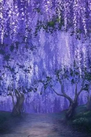 ปกนิยาย [Fic Naruto Shippuden Naruto x oc] Fujinohana สัมผัสรักเหนือกาล