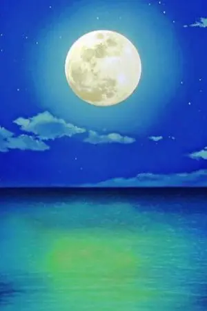 ปกนิยาย [ Fic Pokemon ] บันทึกชีวิตของผู้เกิดใหม่