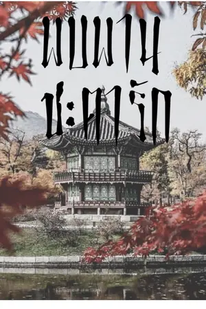 ปกนิยาย พบพานชะตารัก