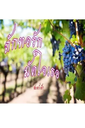 ปกนิยาย