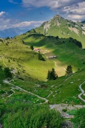 ปกนิยาย ฮูหยินเจ้าอย่าหนีข้าไป