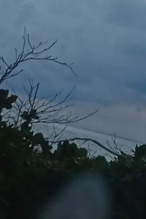 ปกนิยาย วิญญาณนิรันดร์