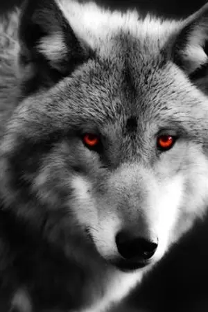 ปกนิยาย Zoo T F