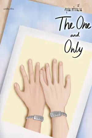 ปกนิยาย คุณเท่านั้น The One and Only