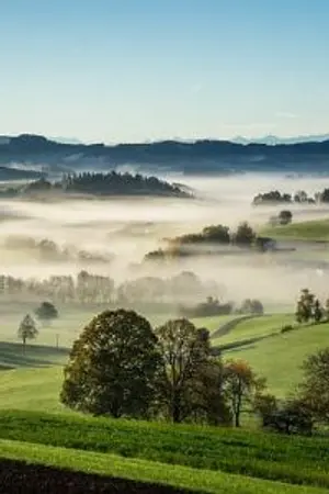 ปกนิยาย สาวน้อยกับราชสิงคลาสโนว่า