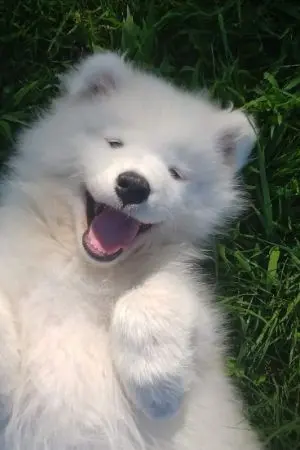 ปกนิยาย เพื่อนข้างห้อง