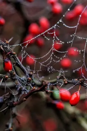 ปกนิยาย เดี๋ยวก่อนนั่นมันแค่จินตนาการ