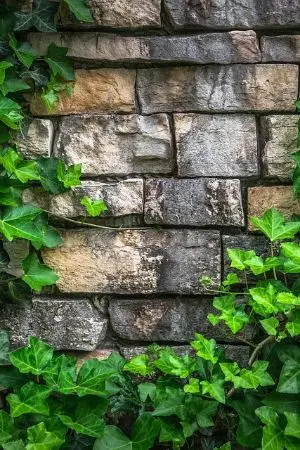 ปกนิยาย มายคราฟเอาชีวิตรอด