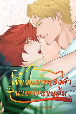 ปกนิยาย