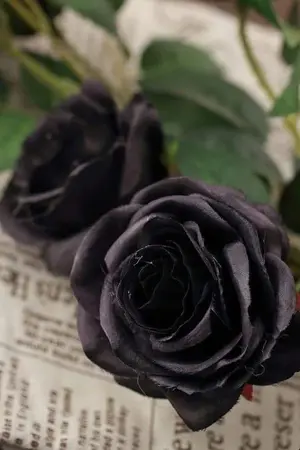 ปกนิยาย The Devil’s Flower ดอกไม้งามของจอมปีศาจ