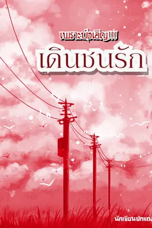 ปกนิยาย เพราะบังเอิญเดินชนรัก