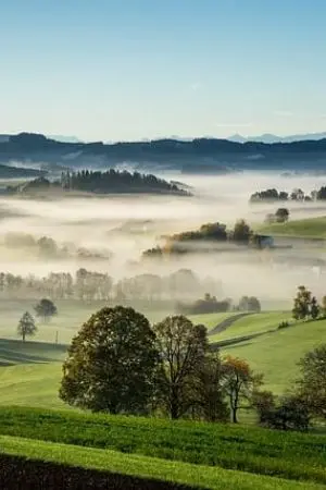 ปกนิยาย กำเนิดรักนายมักกะลีผล