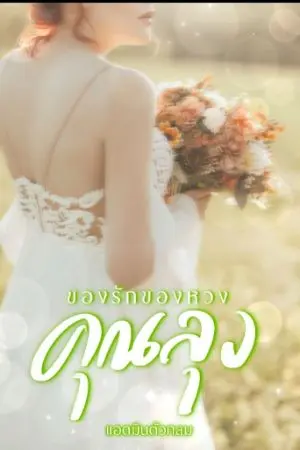 ปกนิยาย