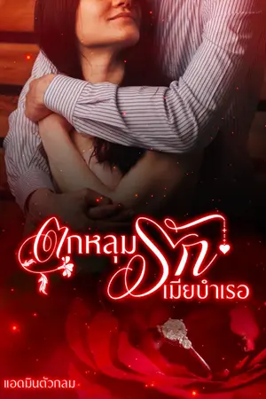 ปกนิยาย ตกหลุมรักเมียบำเรอ