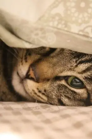 ปกนิยาย ชำระรัก ทะลวงเลิฟ