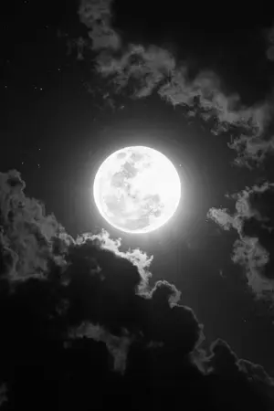 ปกนิยาย การเดินทางของพระจันทร์