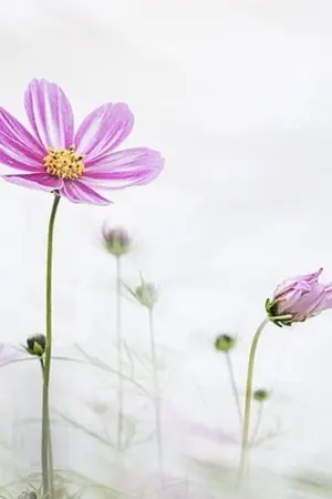 ปกนิยาย ธีย์รักวิทย์