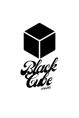 ปกนิยาย Black Cube