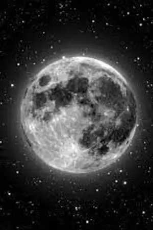 ปกนิยาย โลกใบใหม่ที่ดีกว่าเดิม