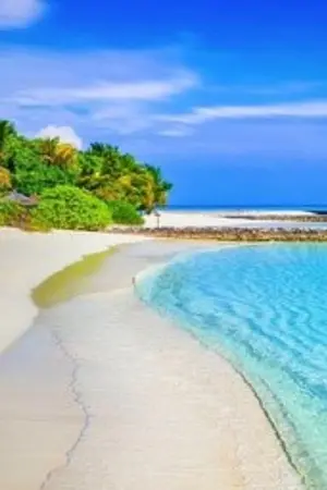 ปกนิยาย ป่วนหัวใจนายหัว