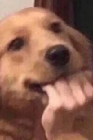 ปกนิยาย สตรีมเมอร์วันนี้มาสตรีมทำอะไรหรอ??