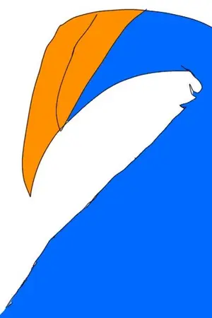 ปกนิยาย ชะตาของผู้ถูกเลือก(อย่าสนปกเพราะยังไม่ได้วาด)