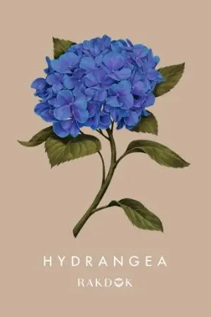 ปกนิยาย แล้วไงข้าถึงได้กลายมาเป็นนายเอกแทนล่ะเนี่ย