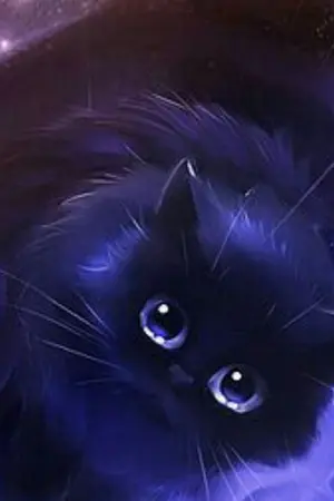 ปกนิยาย แมวดำข้างถนน