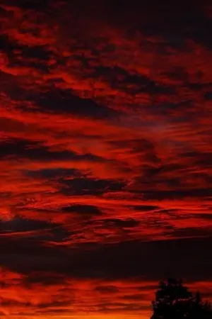 ปกนิยาย ท้องฟ้าสีเลือด