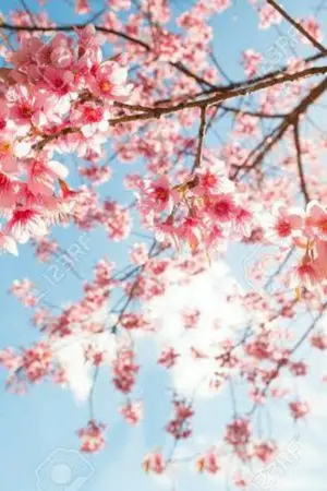 ปกนิยาย คำสัญญาสุดท้ายของฉันและเธอ