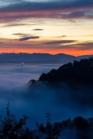 ปกนิยาย นายมาเฟียกับหญิงชาวป่า