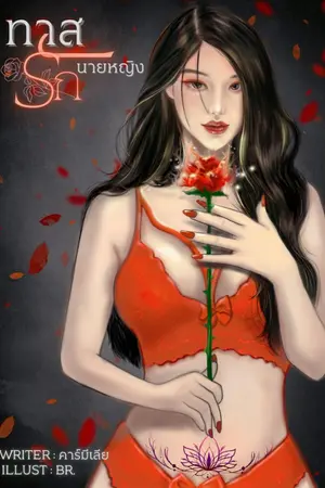 ปกนิยาย ทาสรักนายหญิง