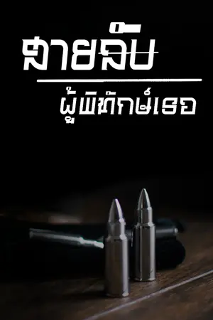 ปกนิยาย สายลับผู้พิทักษ์เธอ