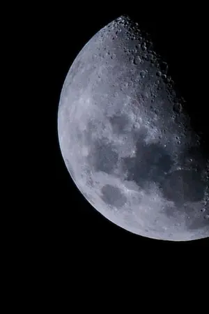 ปกนิยาย ยัยตัวแสบปากดีมาพอดีกับสืบสวน