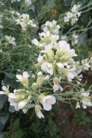 ปกนิยาย หลักสอนใจให้มีความสุข