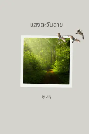 ปกนิยาย แสงตะวันฉาย