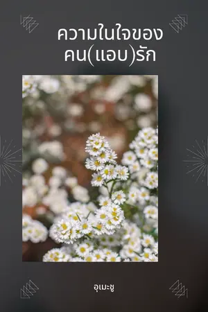 ปกนิยาย ความในใจของคน(แอบ)รัก