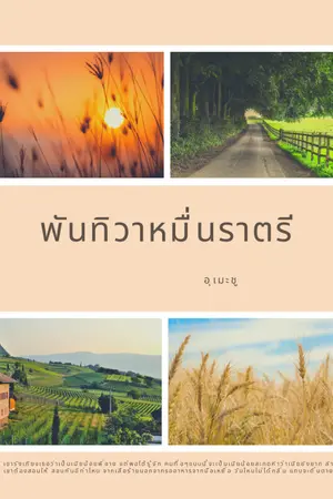 ปกนิยาย พันทิวา หมื่นราตรี