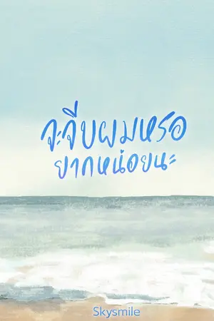 ปกนิยาย