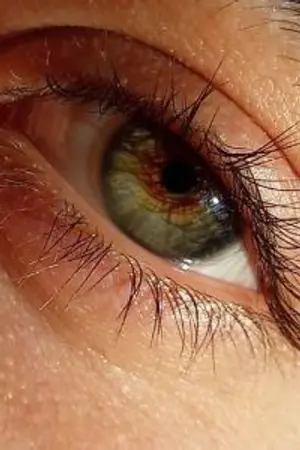 ปกนิยาย กฎของแรงดึงดูด