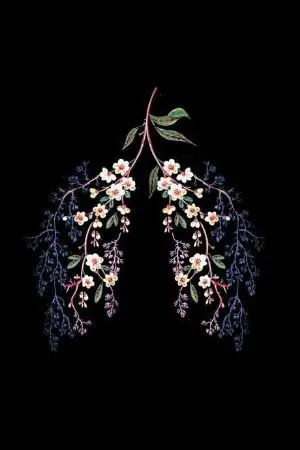 ปกนิยาย Hanahaki