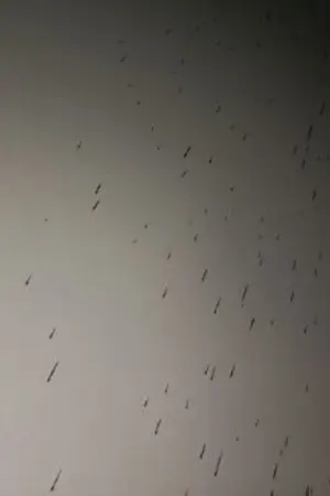 ปกนิยาย สรุปพวกนายคิดแบบไหนกันแน่